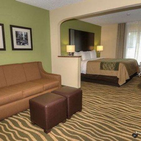 Comfort Inn Marion Near Downtown & Blue Ridge Pkwy חדר תמונה