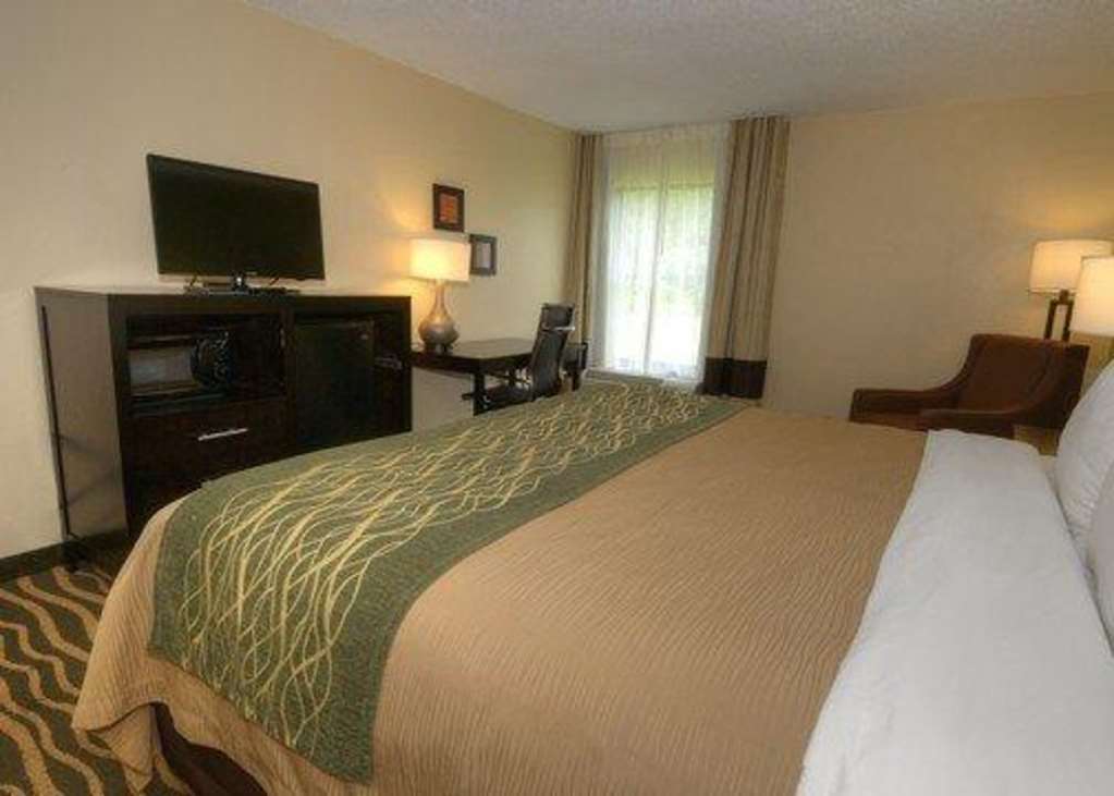 Comfort Inn Marion Near Downtown & Blue Ridge Pkwy חדר תמונה